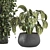 Stunning Indoor Plant Collection 3D model small image 5