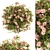 Pretty in Pink: Floral Bush Set 29 3D model small image 1