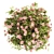 Pretty in Pink: Floral Bush Set 29 3D model small image 2