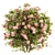 Pretty in Pink: Floral Bush Set 29 3D model small image 3