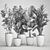 Exotic Plant Collection: Palms, Ficus & Licuala in Black Pots 3D model small image 6