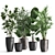 Exotic Plant Collection: Palms, Ficus & Licuala in Black Pots 3D model small image 8