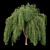 Premium Willow Tree Collection 3D model small image 2