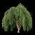 Premium Willow Tree Collection 3D model small image 3