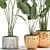 Exotic Plant Collection: Banana Palm, Ravenala & Strelitzia 3D model small image 2