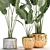 Exotic Plant Collection: Banana Palm, Ravenala & Strelitzia 3D model small image 3