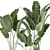 Exotic Plant Collection: Banana Palm, Ravenala & Strelitzia 3D model small image 4