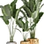 Exotic Plant Collection: Banana Palm, Ravenala & Strelitzia 3D model small image 5