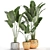 Exotic Plant Collection: Banana Palm, Ravenala & Strelitzia 3D model small image 7