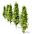 Turkish Hazel Tree - 2 Trees, Vray and Corona Materials 3D model small image 5