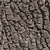 Natural Wood Trunk Texture 3D model small image 3