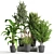 Botanical Bliss: Indoor Plant Set 37 3D model small image 1