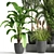 Botanical Bliss: Indoor Plant Set 37 3D model small image 2