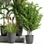 Botanical Bliss: Indoor Plant Set 37 3D model small image 3