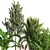 Botanical Bliss: Indoor Plant Set 37 3D model small image 4