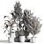 Botanical Bliss: Indoor Plant Set 37 3D model small image 5