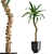 Tropical Plant Collection in Vig Planter 3D model small image 4