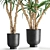 Tropical Plant Collection in Black Pots 3D model small image 2
