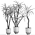 Tropical Plant Collection in Black Pots 3D model small image 7