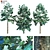 Premium Oak Tree Collection: 6 Leaf Textures 3D model small image 1