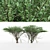Duo Umbrella Thorn Trees 3D model small image 2