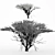 Duo Umbrella Thorn Trees 3D model small image 4
