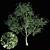 Nature's Shield: Tree Exterior 3D model small image 1