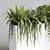 Indoor Plant Collection: 72 Pot Grass Fern Bush Palm Concrete Vase 3D model small image 3