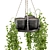  Rusty Concrete Pot Hanging Plants 3D model small image 7