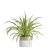 Green Oasis Indoor Plants Pack 3D model small image 5