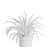 Green Oasis Indoor Plants Pack 3D model small image 6