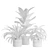 Green Oasis Indoor Plants Pack 3D model small image 8