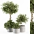 241-Piece Outdoor Plant Set 3D model small image 1
