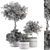 241-Piece Outdoor Plant Set 3D model small image 5