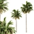 Green Palm Tree Set - Two Sizes 3D model small image 1