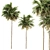 Green Palm Tree Set - Two Sizes 3D model small image 2