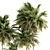 Green Palm Tree Set - Two Sizes 3D model small image 4