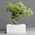 Concrete Bonsai Pot Vase 3D model small image 2