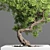 Concrete Bonsai Pot Vase 3D model small image 3