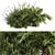 Tropical Paradise Bush Set 3D model small image 1