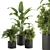 Refreshing Greenery: Indoor Plant Set 3D model small image 1