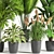 Indoor Oasis: 38 Unique Plant Set 3D model small image 3