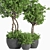 Evergreen Indoor Plant Set 41 3D model small image 2