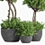 Evergreen Indoor Plant Set 41 3D model small image 3