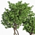 Evergreen Indoor Plant Set 41 3D model small image 5