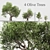 Green Oasis: Olive Tree Collection 3D model small image 1