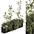 Nature's Oasis: Indoor Plant Set 3D model small image 1