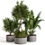 Diverse Outdoor & Indoor Plant Collection 3D model small image 1