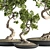 Indoor Bonsai Plant Set 3D model small image 2