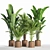 Indoor Oasis: 42-Piece Plant Set 3D model small image 1